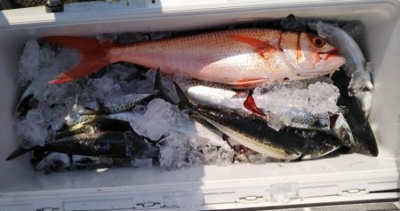 康仁丸船ジギング